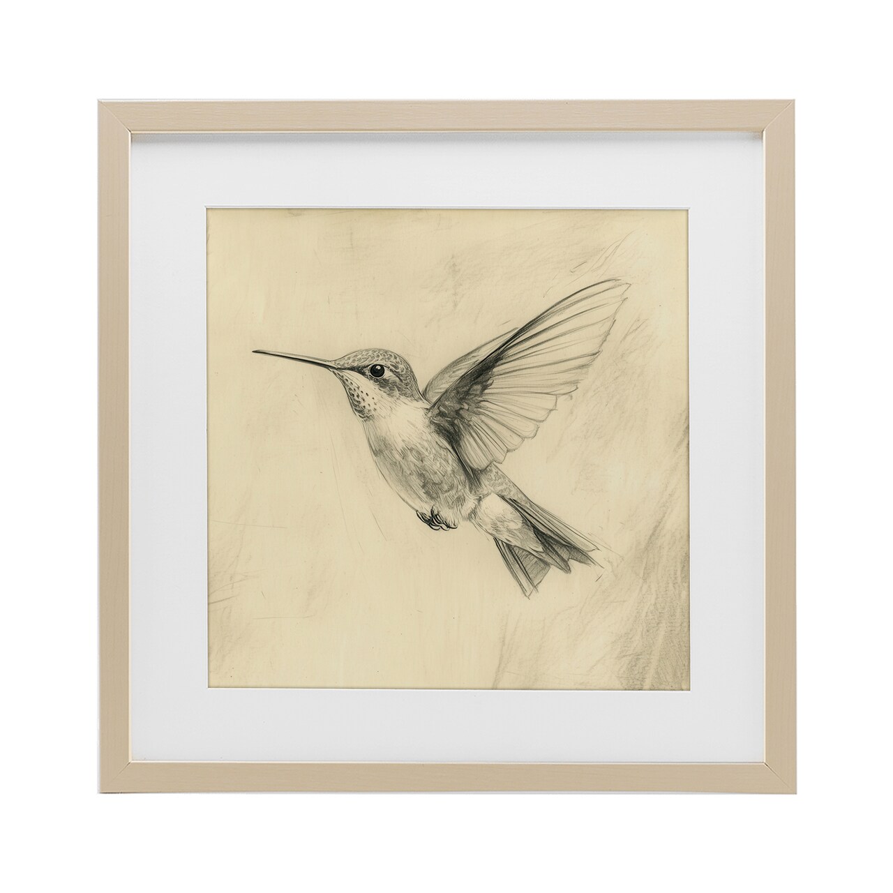 Stupell Industries Vintage Hummingbird Sketch Framed Print Under Glass, design by Petal Prints Design
